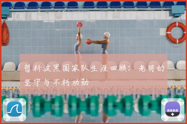 哲科波黑国家队生涯回顾：老将的坚守与不朽功勋