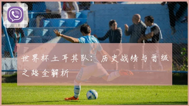 世界杯土耳其队：历史战绩与晋级之路全解析